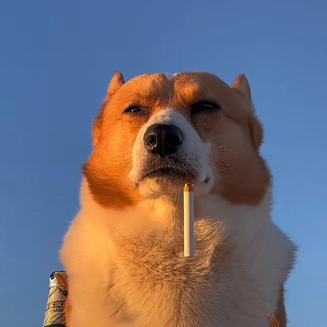 小徐剧场