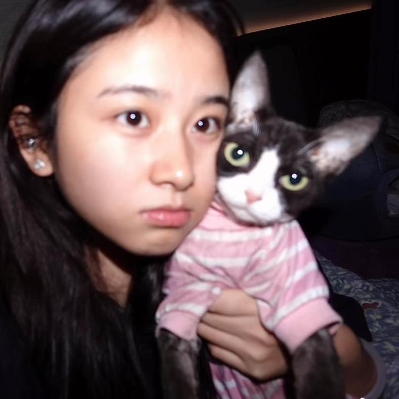 十一