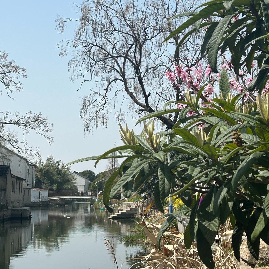 牧还