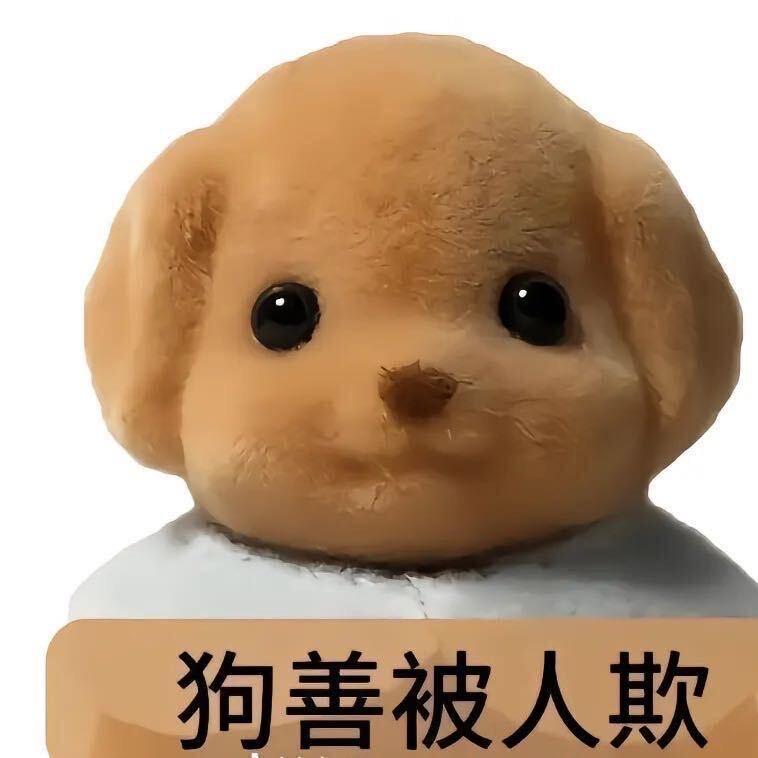 快去学习