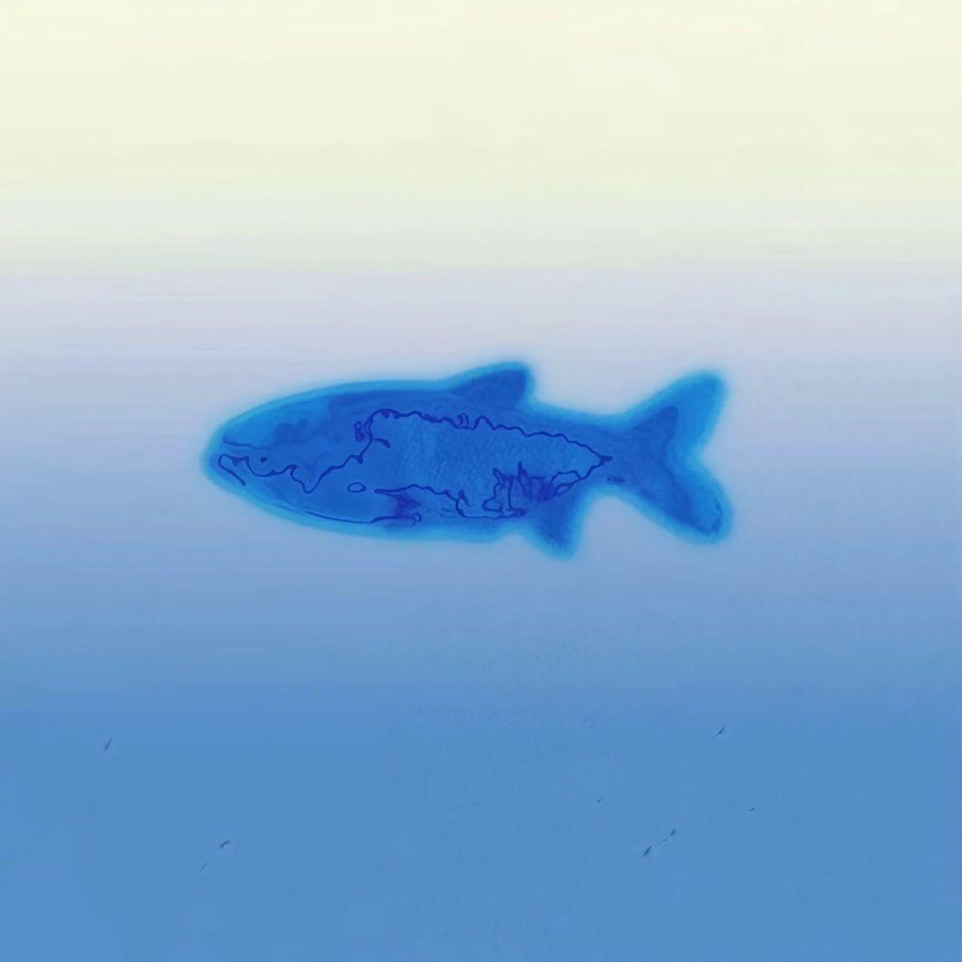 烤冷🐟