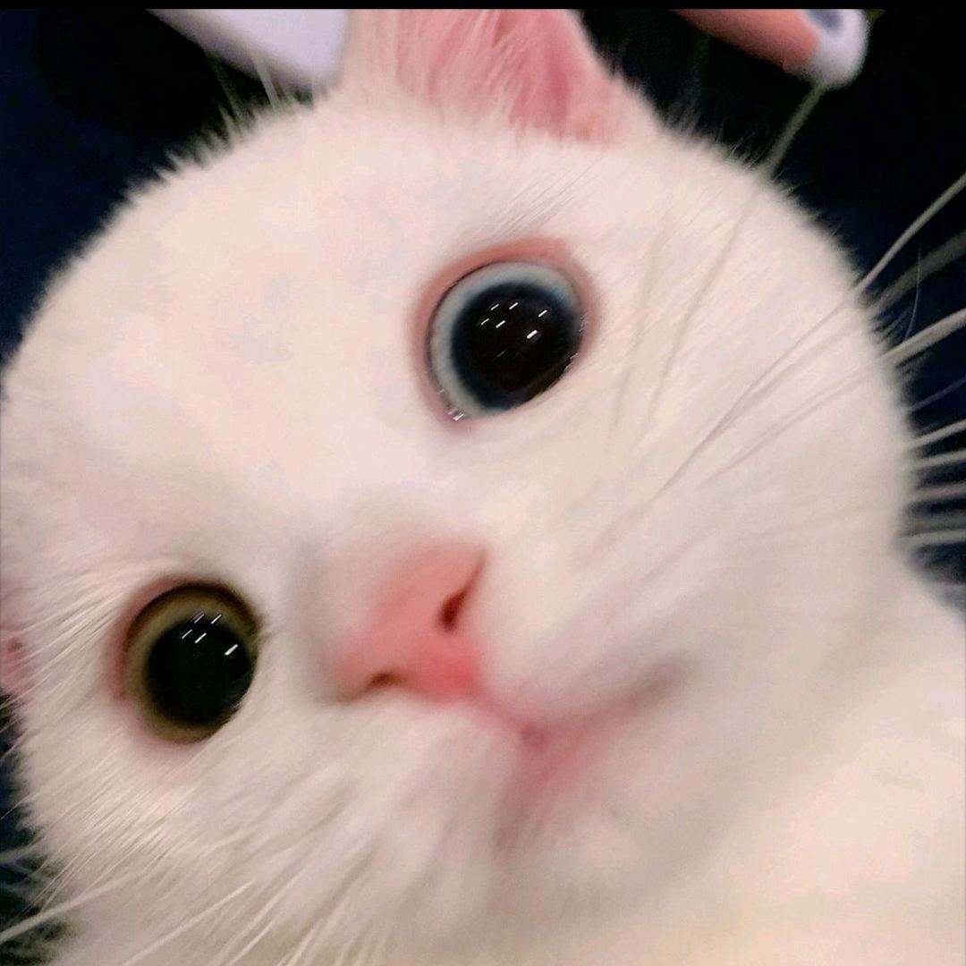 👾👾