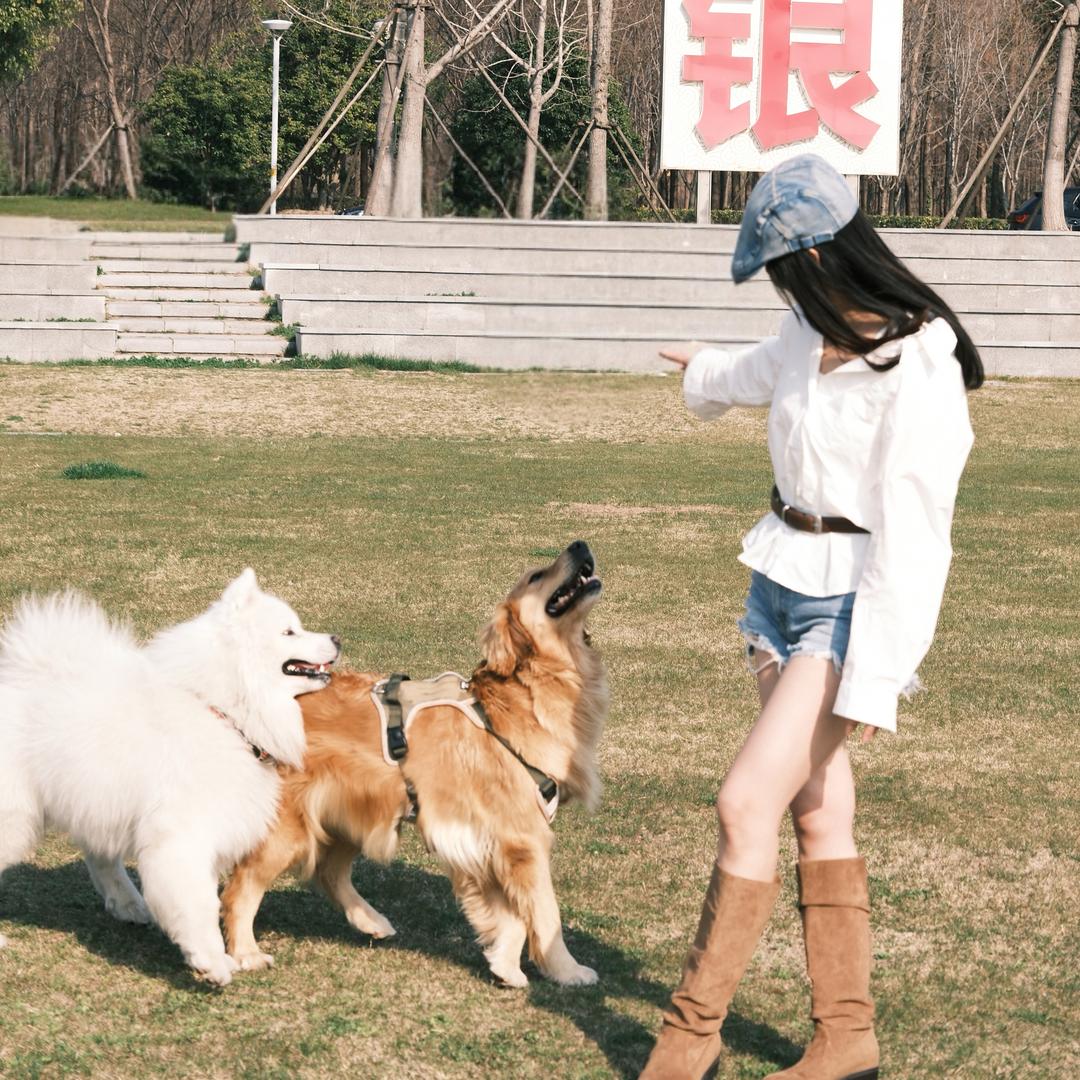 小小