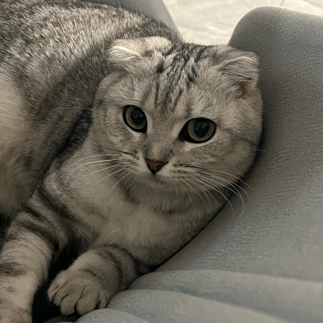 㺭