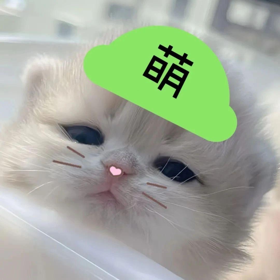 焱小雨