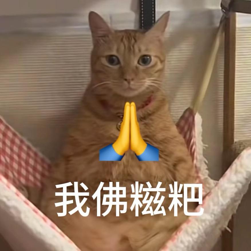 一只小松许头像