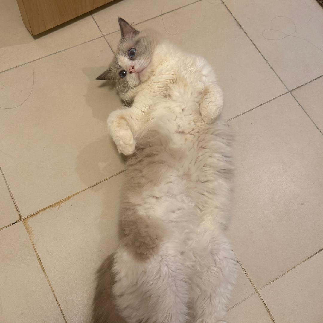差点长成美女