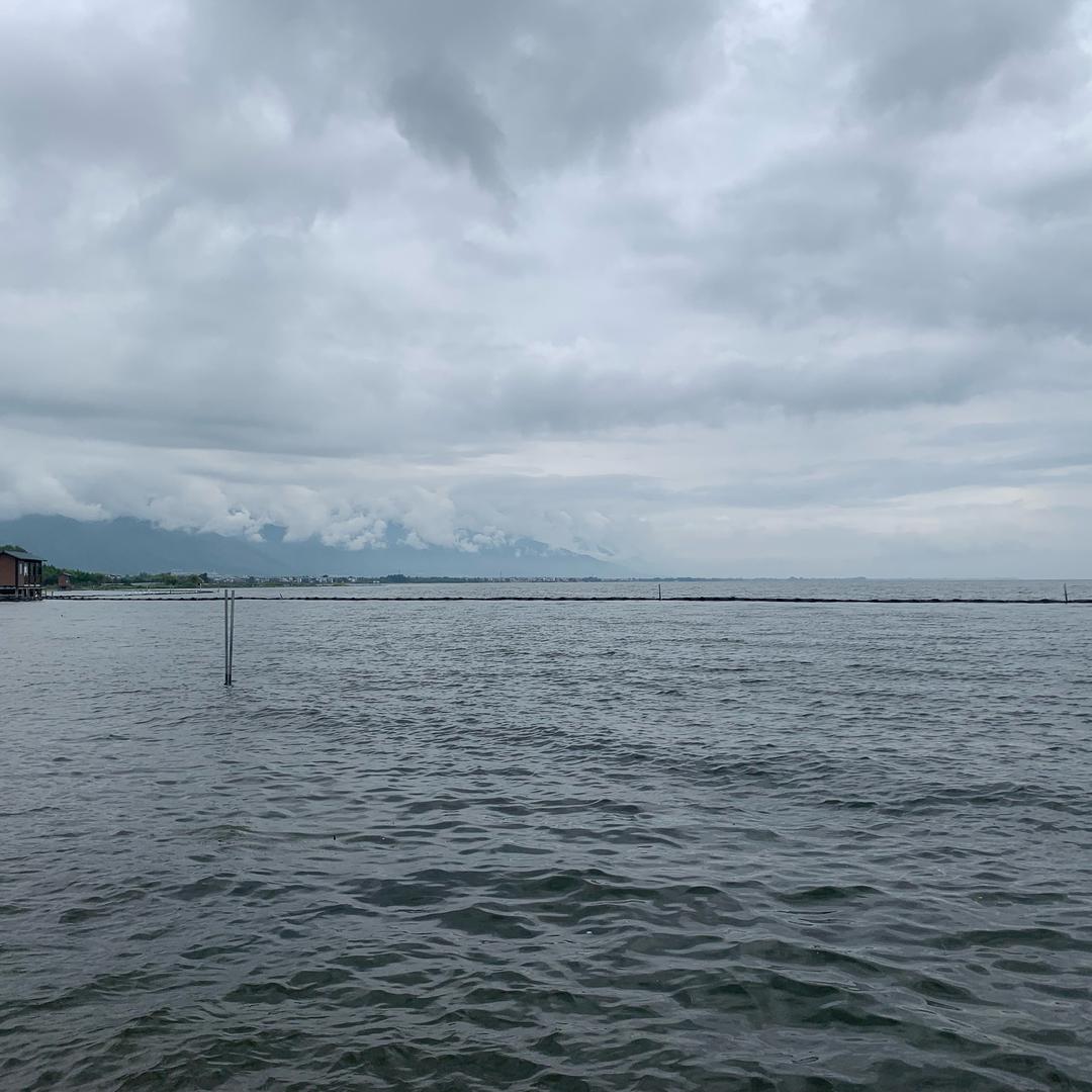 🌈🌈🌈猪的梦想