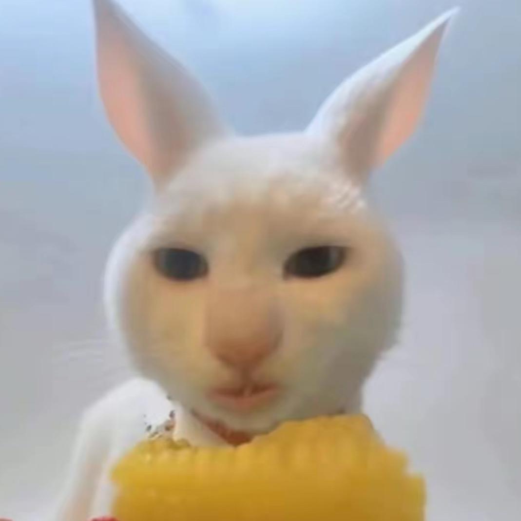 ︎ ︎ ︎ ︎
