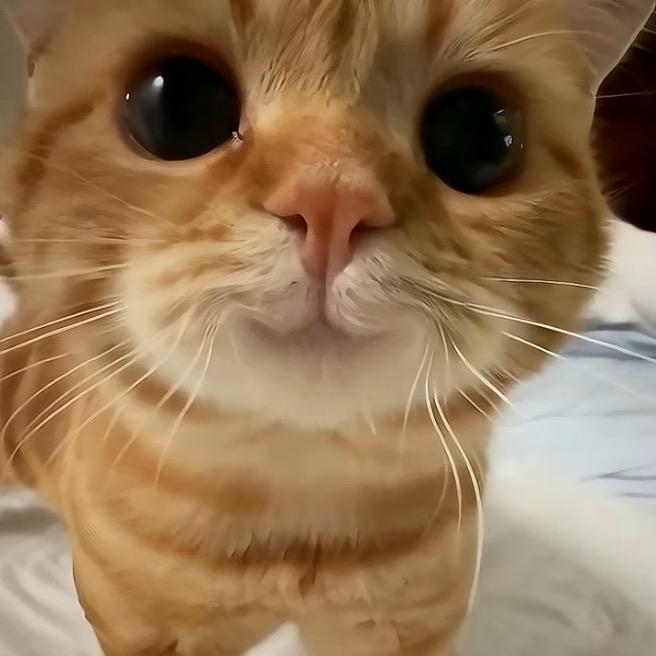 阿翔