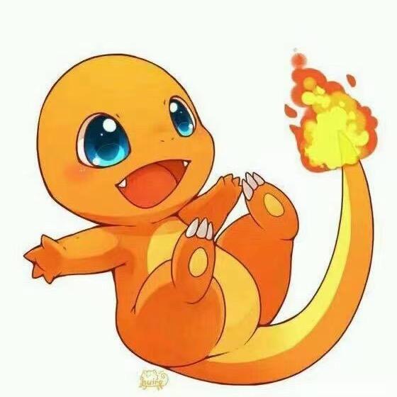 小火龙🔥