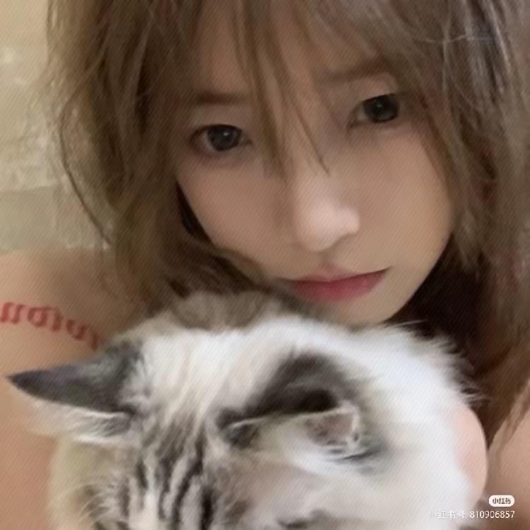 伊风💋