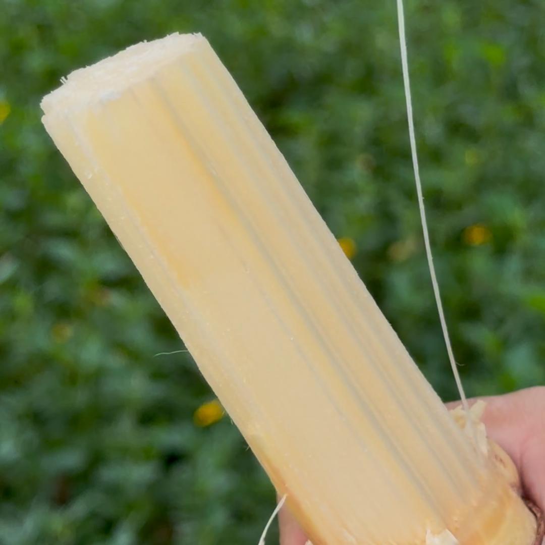 广西白玉甘蔗方地猪