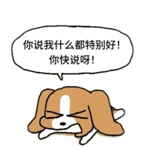 sᴜᴍᴍᴇʀ