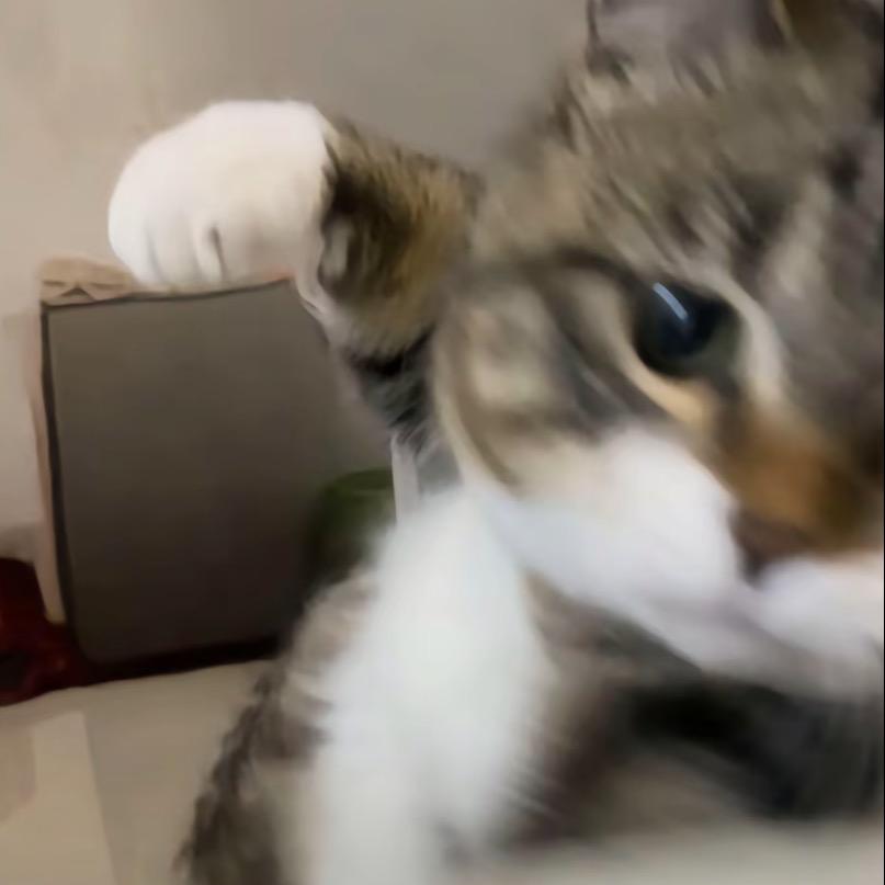 玉京子