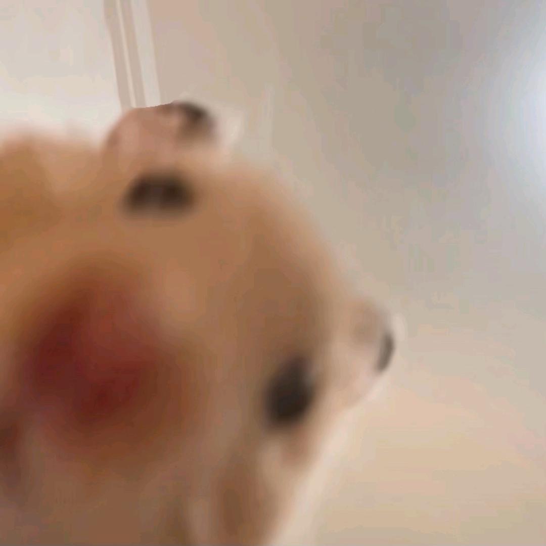 鼠鼠我呀～
