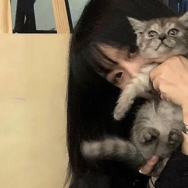 猫声✈️