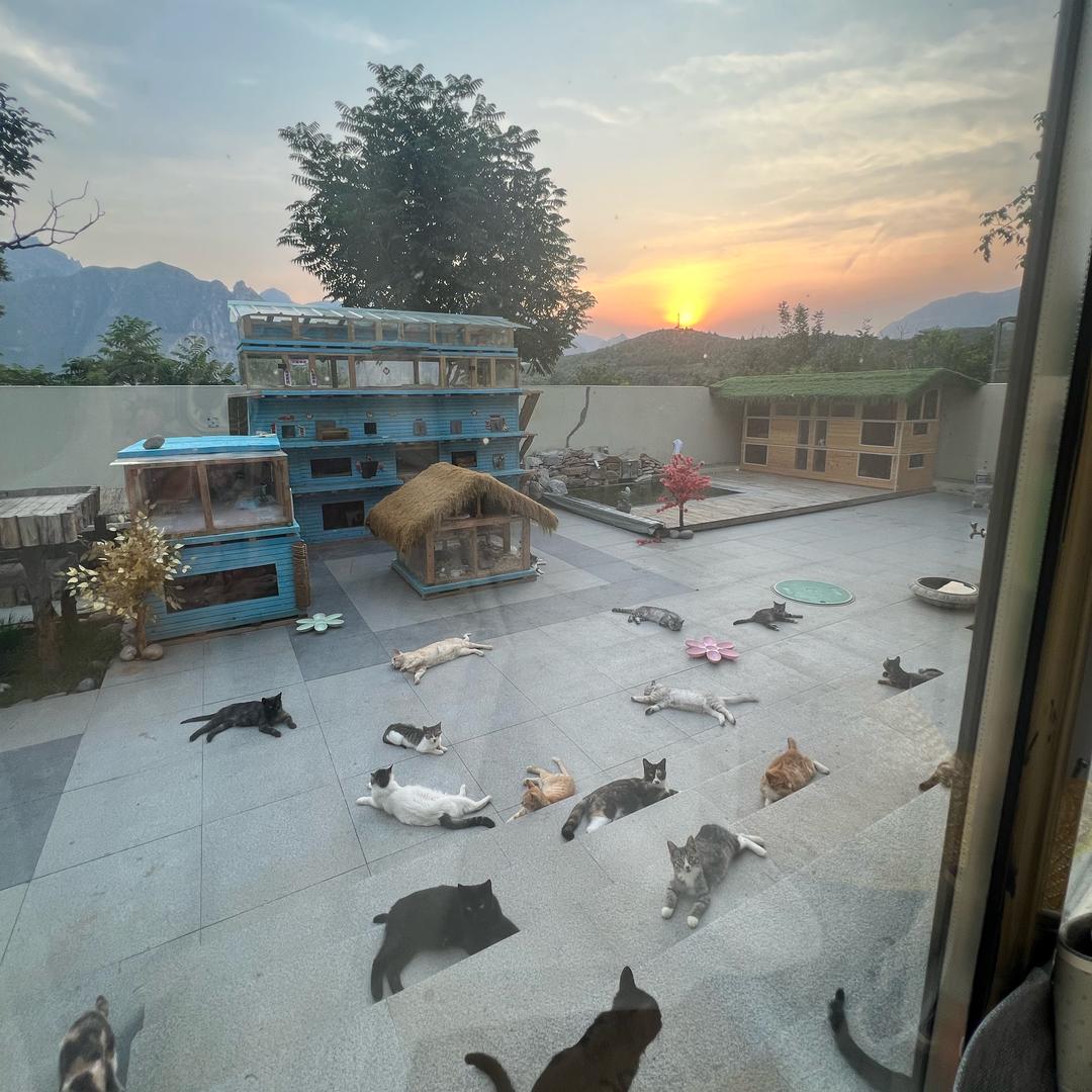 五月麻麻的小可爱们@抖音