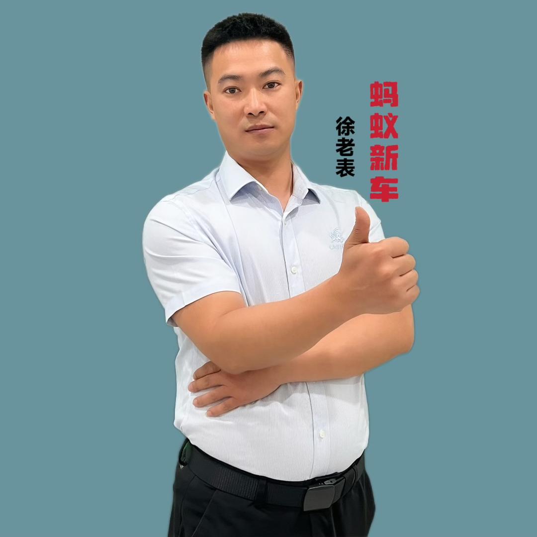 （徐老表）蚂蚁众信新车