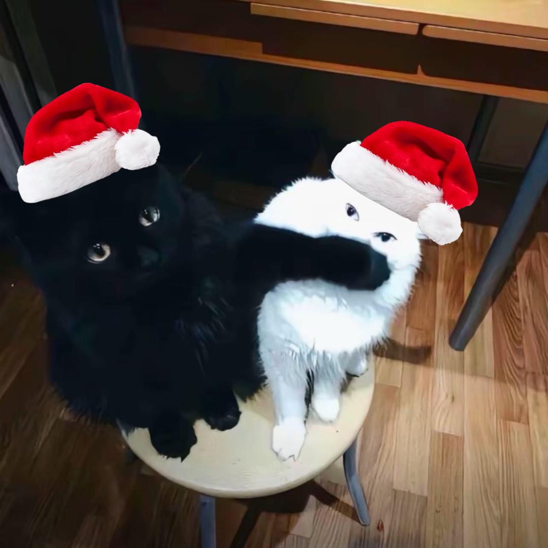 造谣的人都去死.