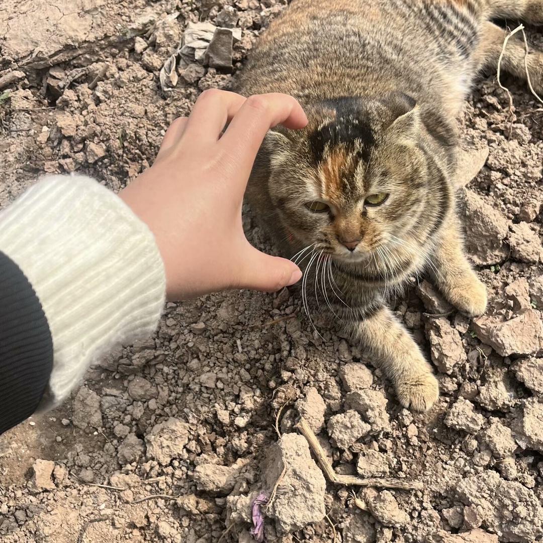 🌈🌈🌈小白兔白又白    .