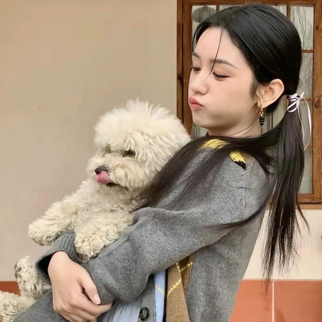 脆脆鲨不脆