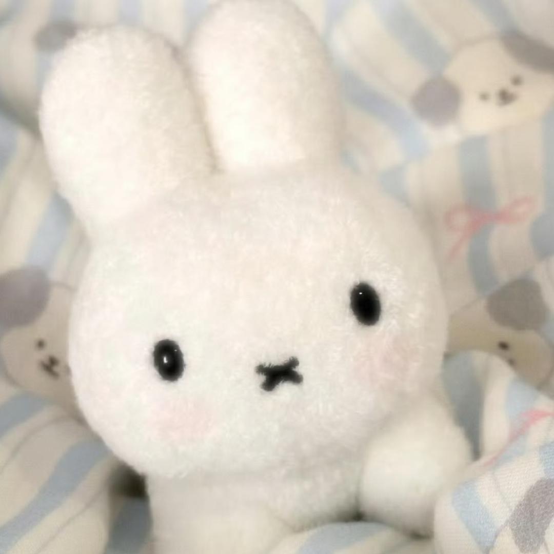 忧郁小鱼干
