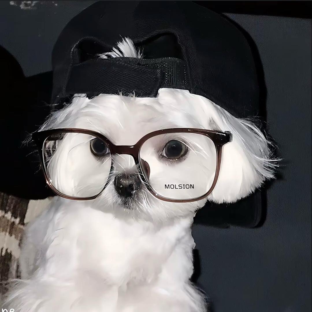 中午吃什么🤔