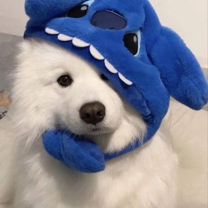 ·
