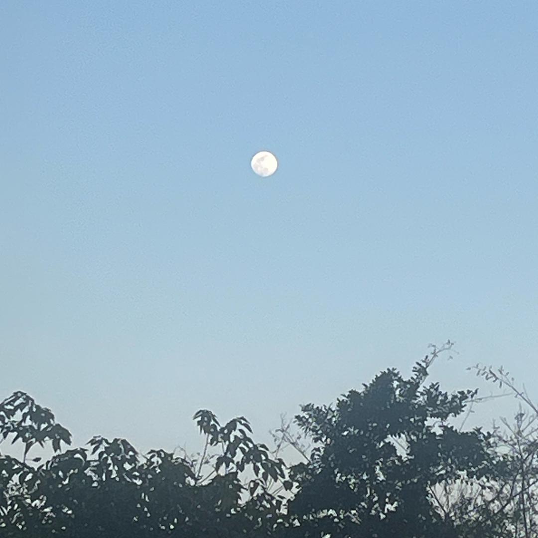 听你的故事