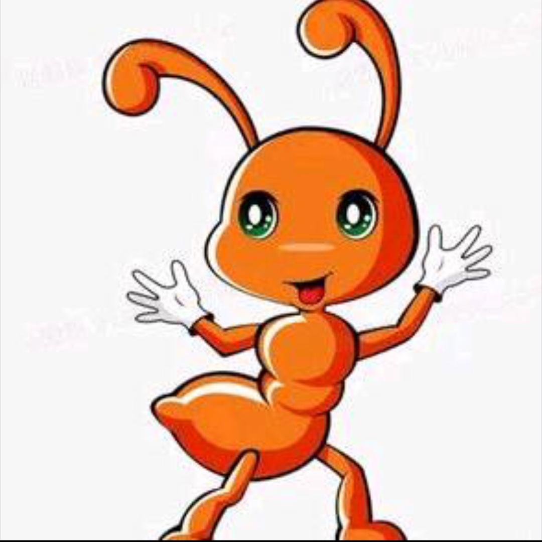 一只小蚂蚁🐜