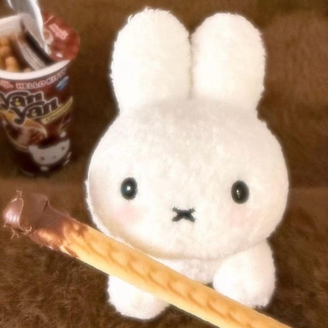 上好菲虾条2860