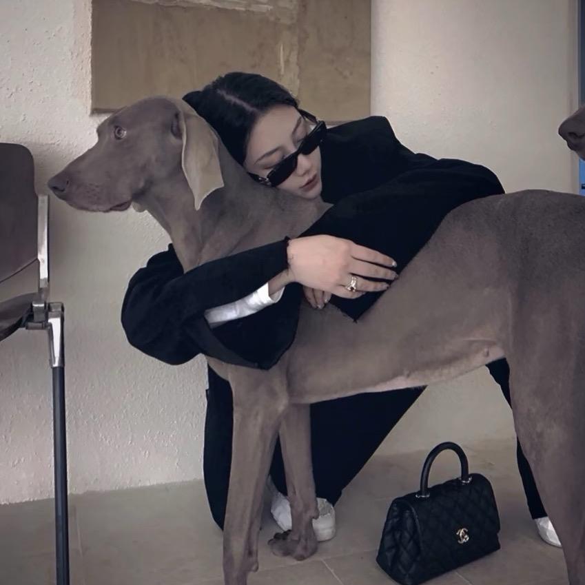 Ａ.狗婷