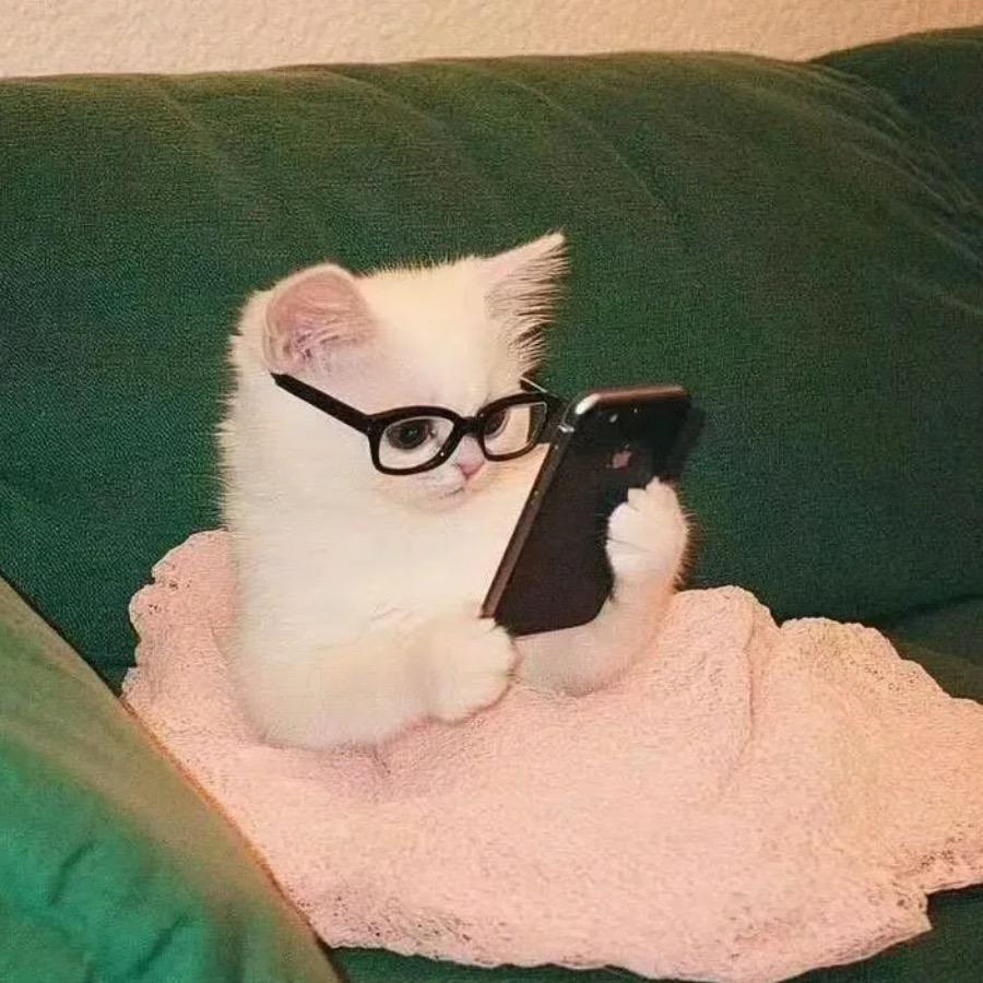 一口一个虾仁松(练口语版)