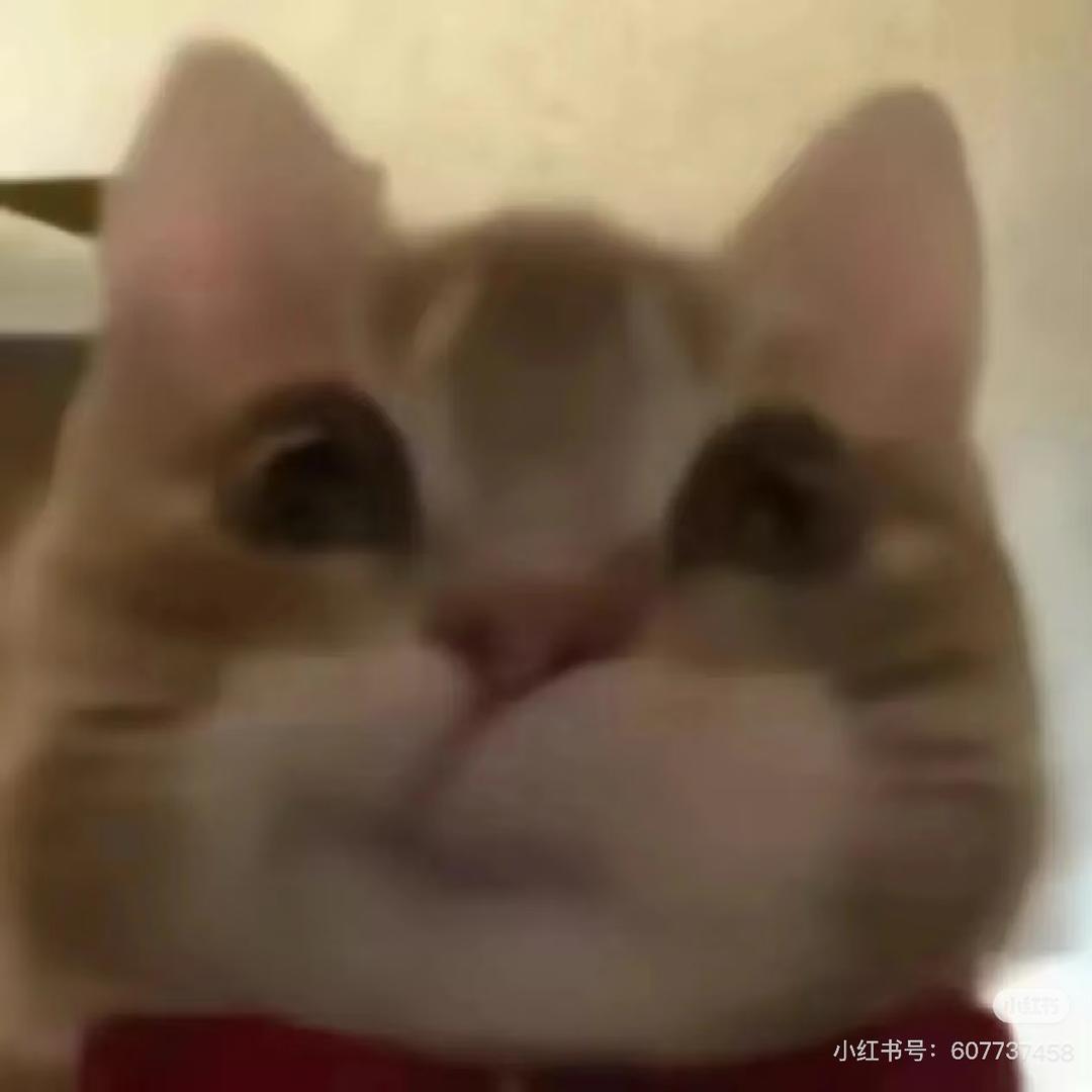 淡泊宁静