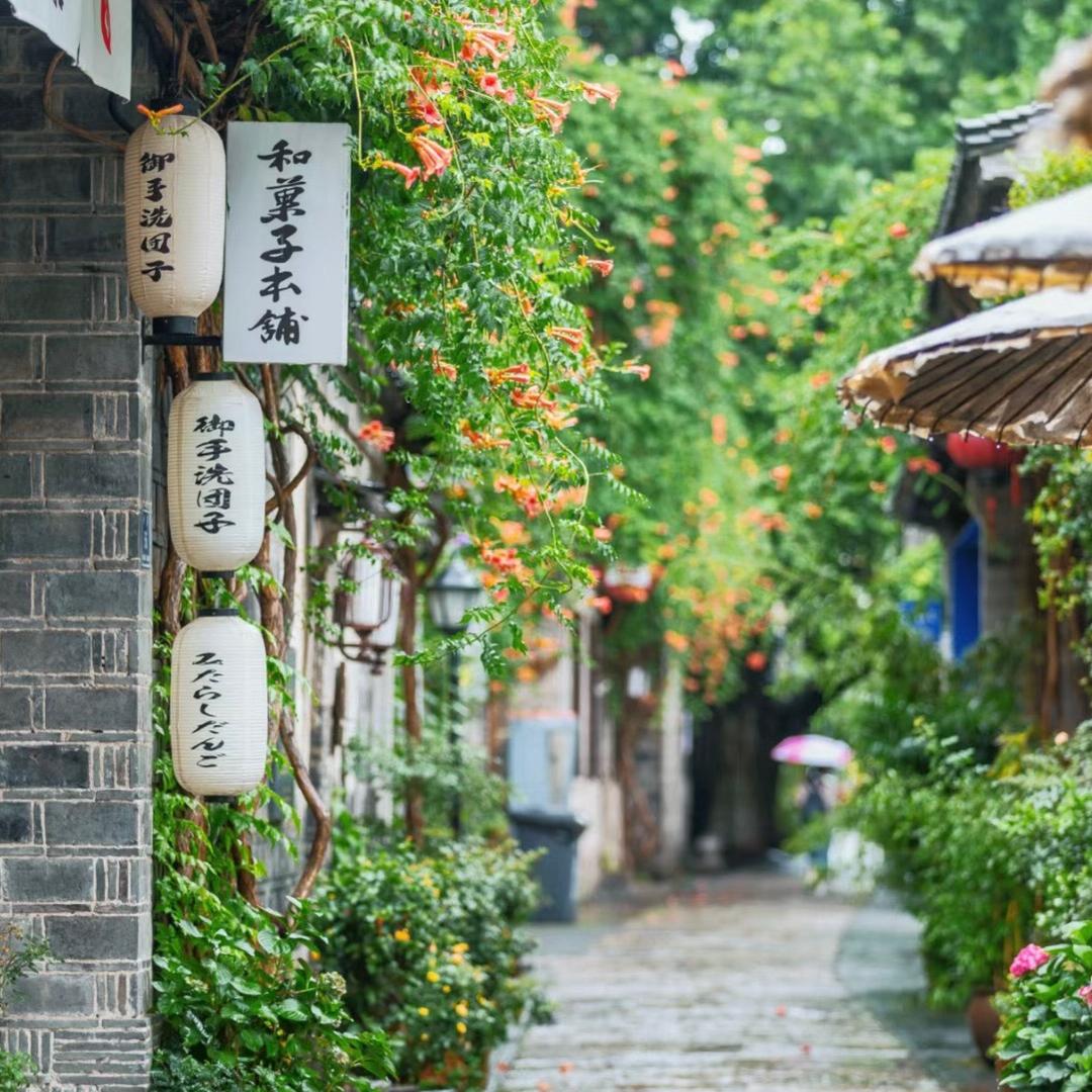 💓圆圆💓好物严选