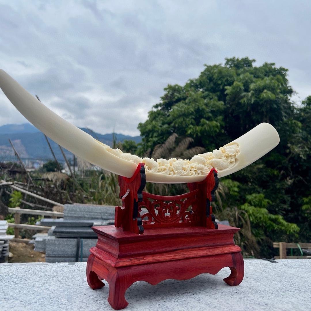 小张牙骨角高端文玩