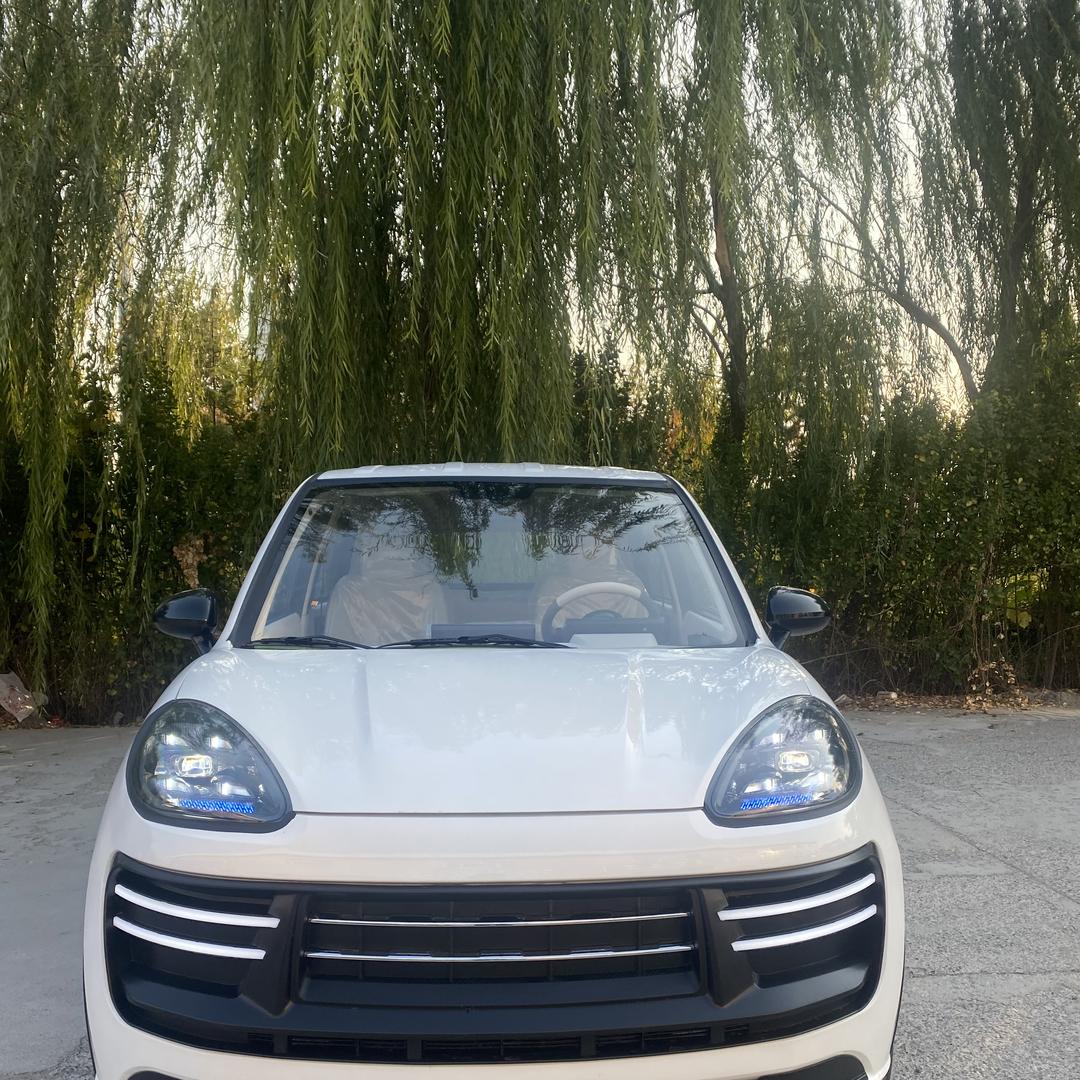 古德卡新能源汽车(工厂直营)