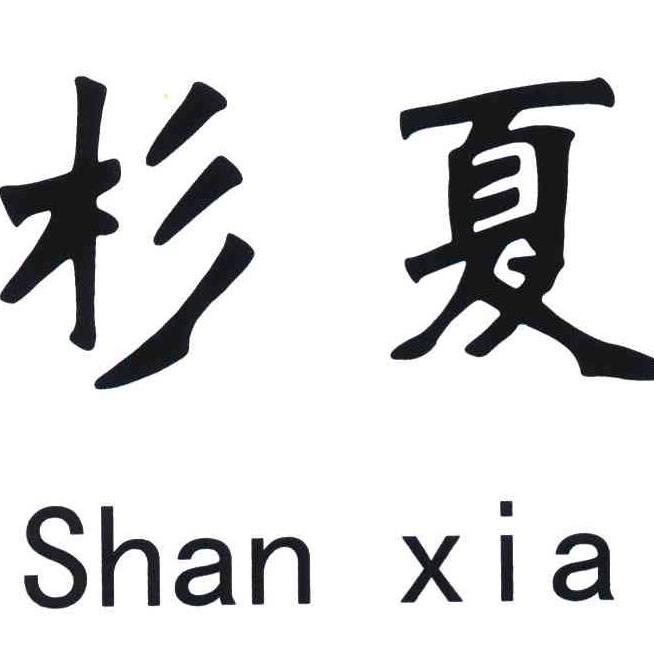 杉夏内衣直播号