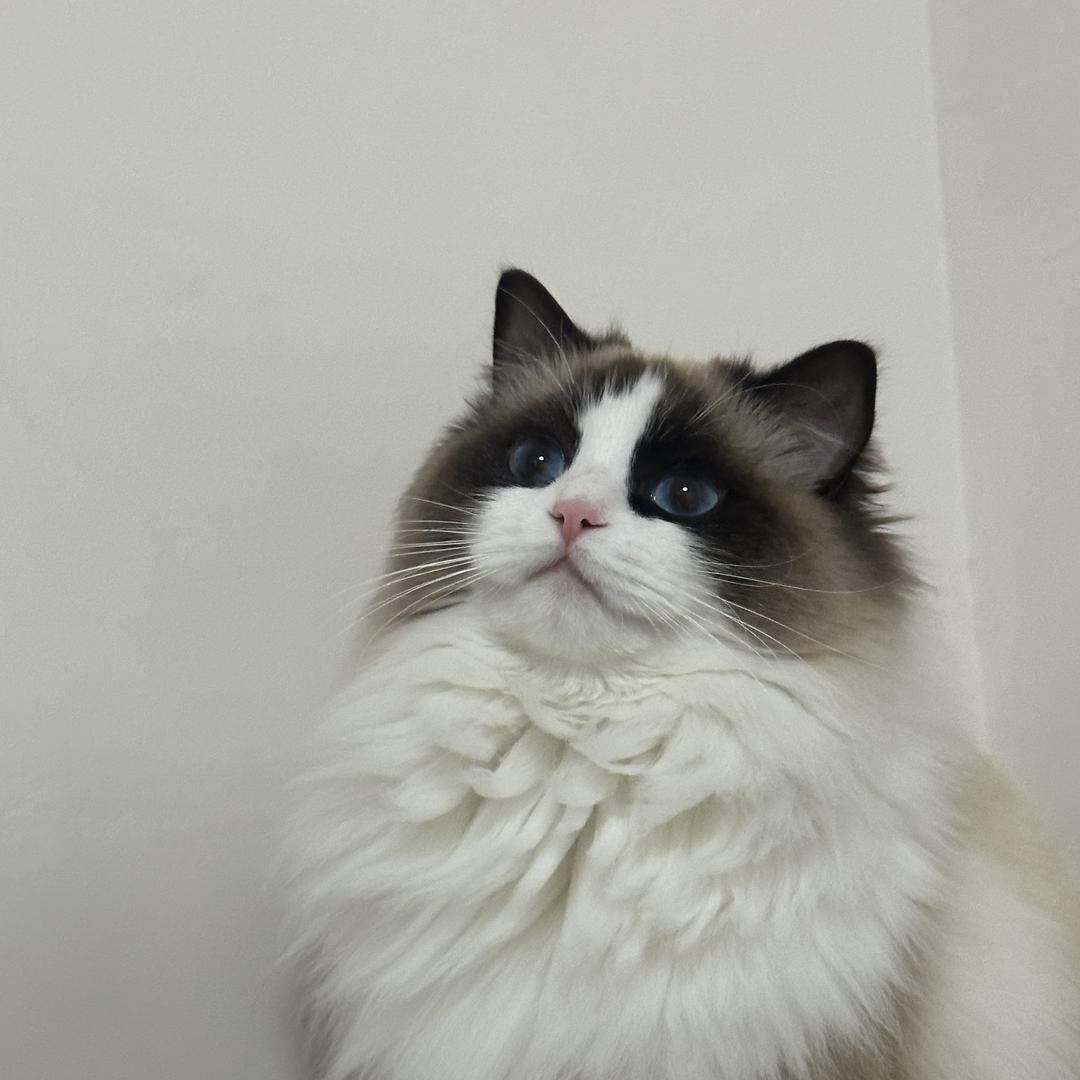 宁觅宇好物甄选