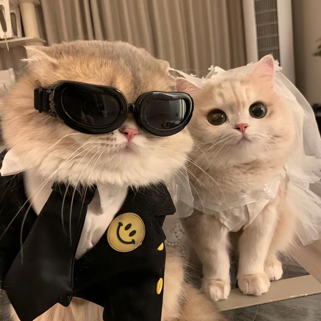 🫙财神宠儿小延🫧后