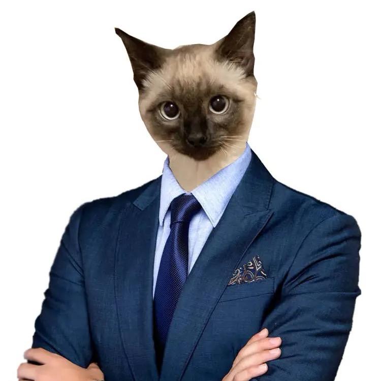 Dosy（呆呆助理）