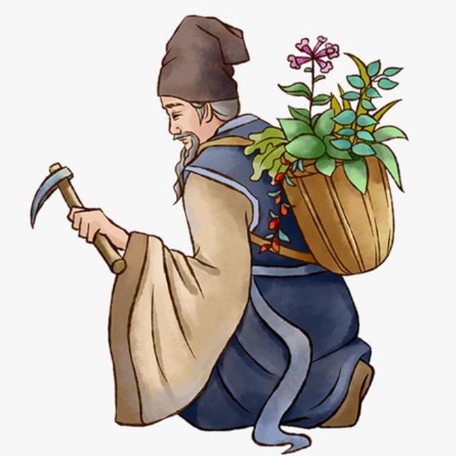 略懂养生