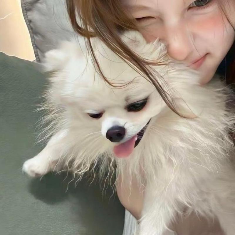 我妈说名字长的话会有傻子跟着念