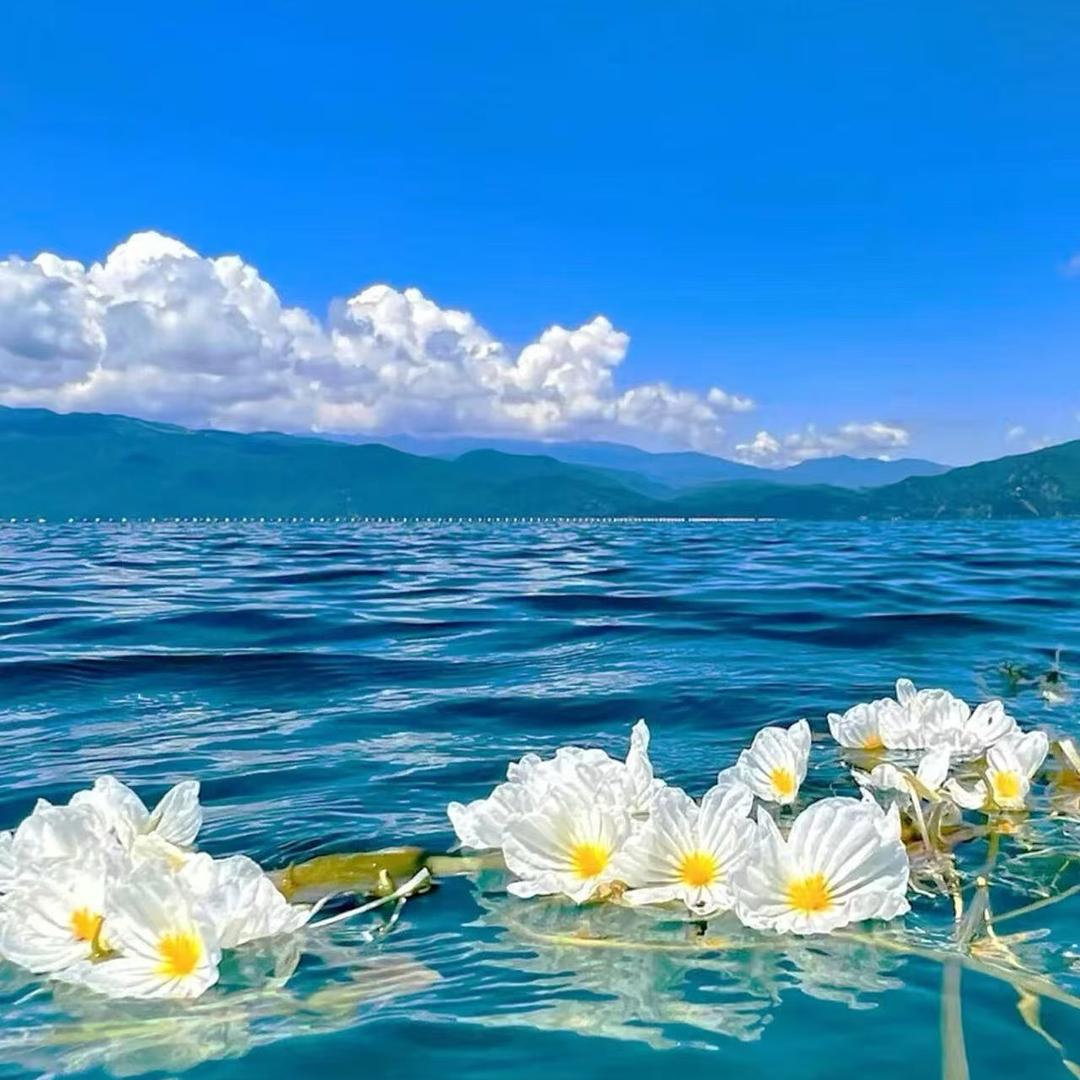 泸沽湖. 悦