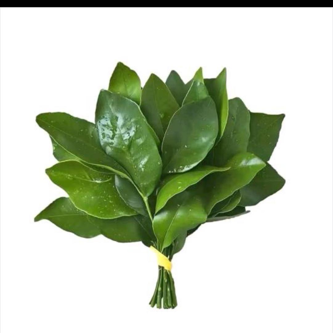 小皇帝