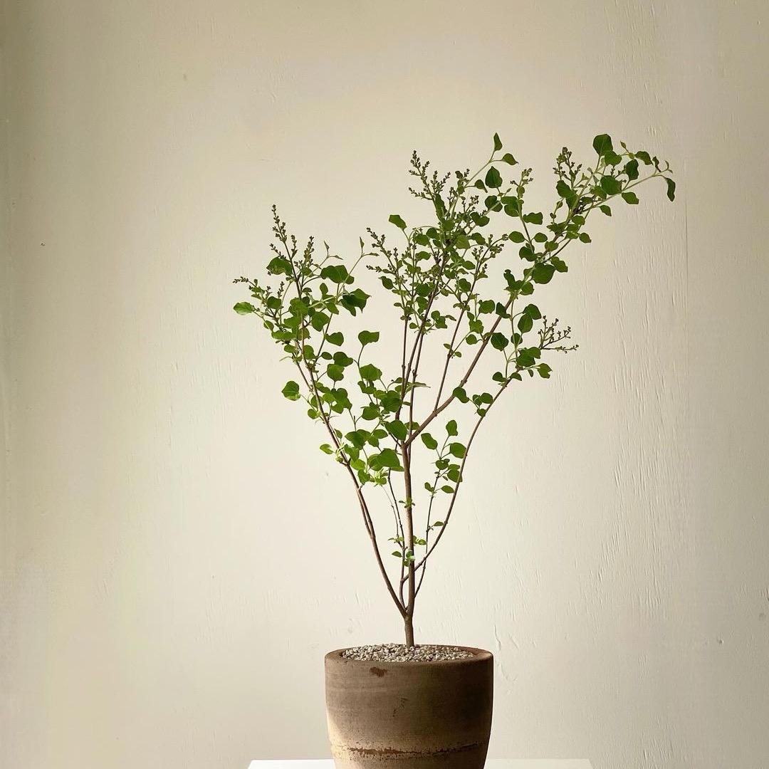 山海经