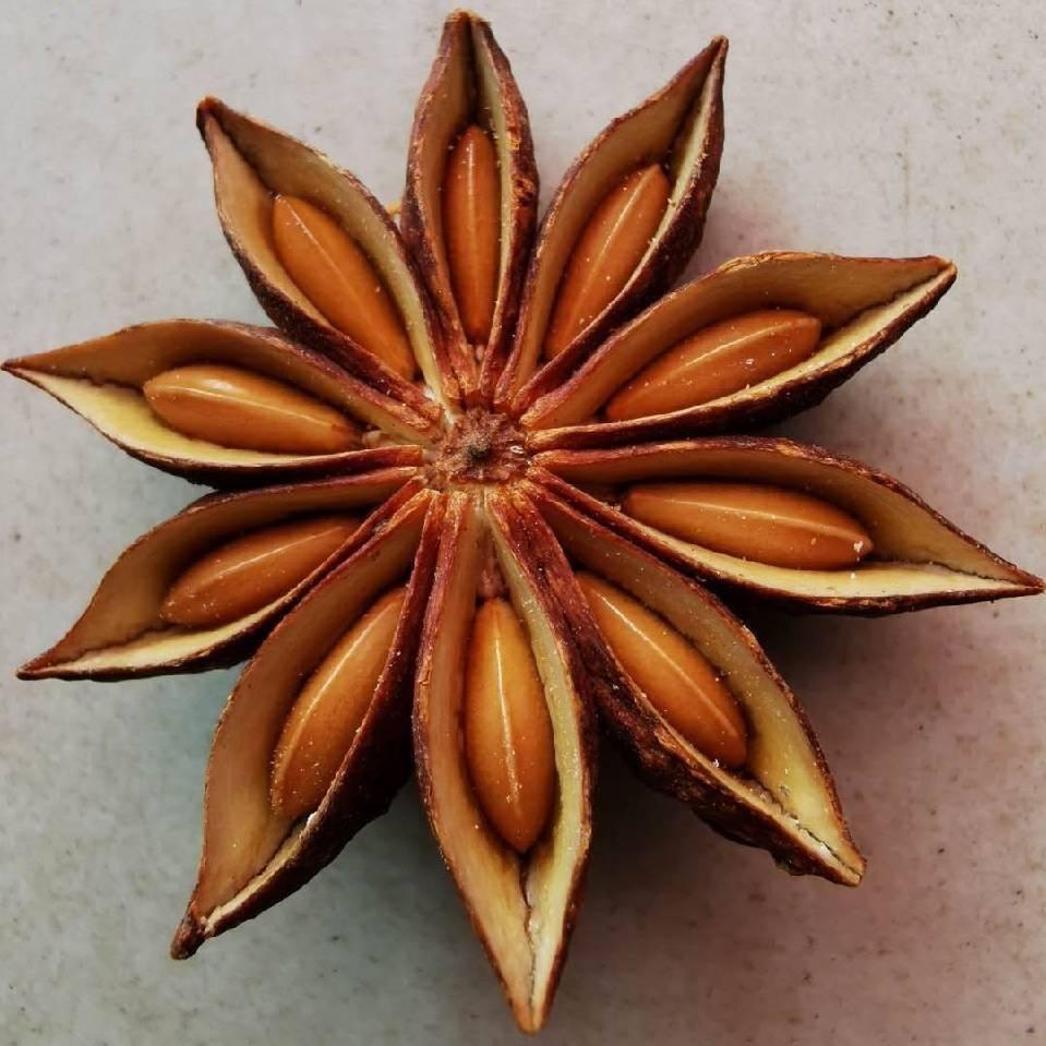 广西八桂调味（黄锐一）