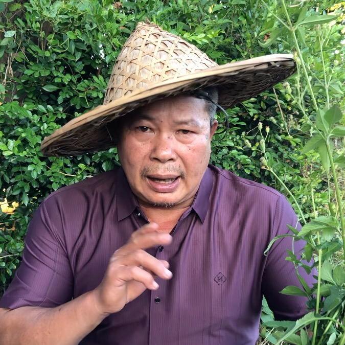 潮汕种菜坚🌽🥕