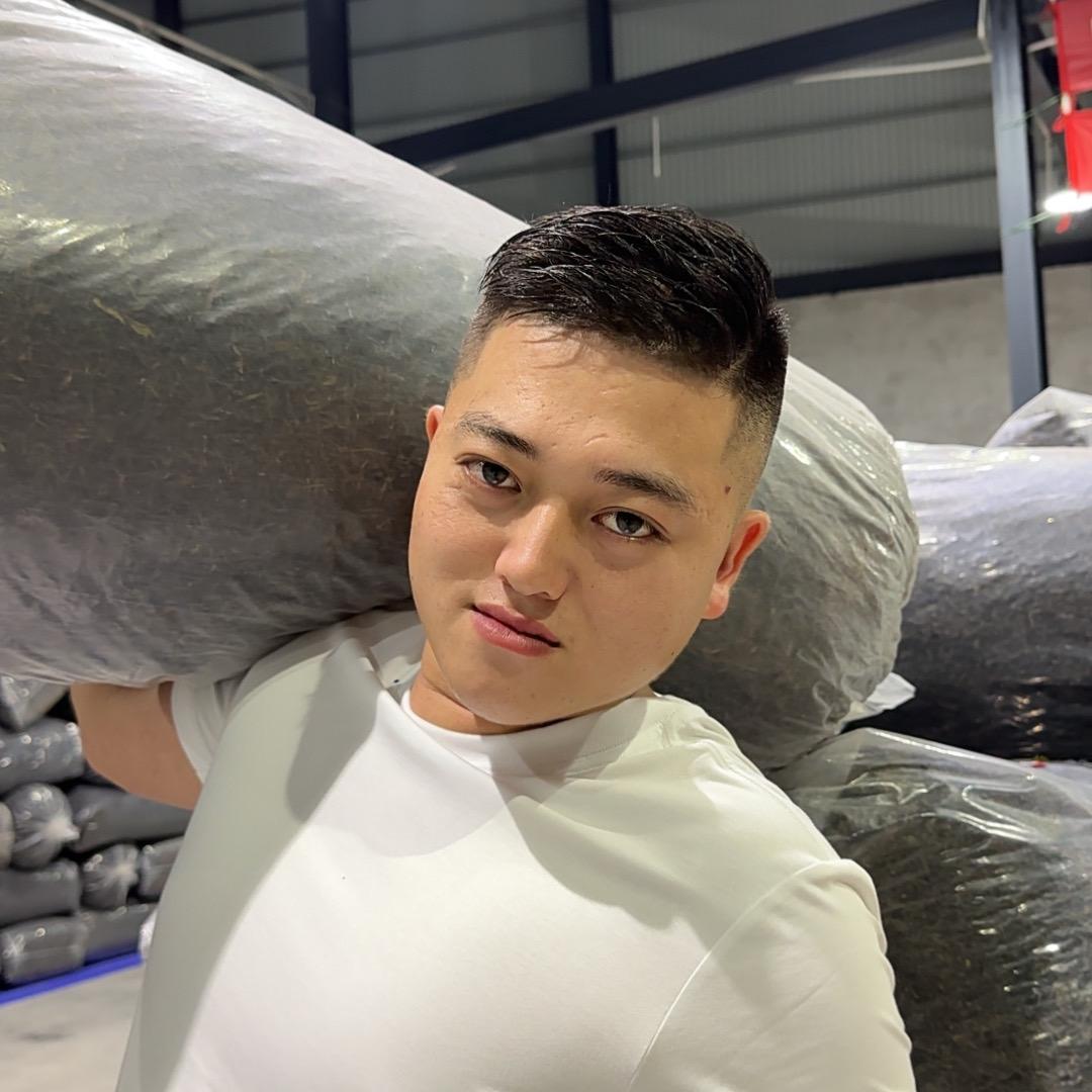 圣浪 单丛茶